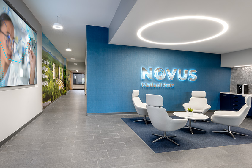 novus international workplace interior design architecture insights