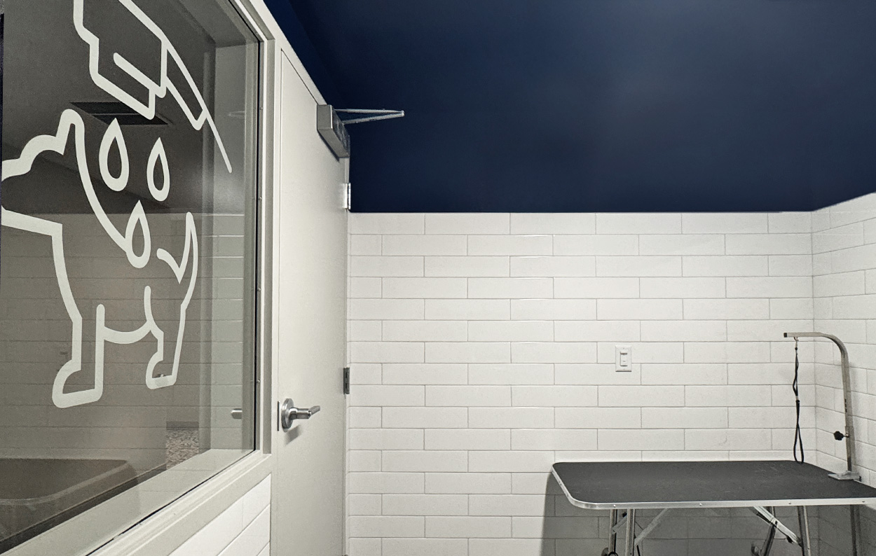 2_image + text_avenir pet wash avenir housing interior design architecture