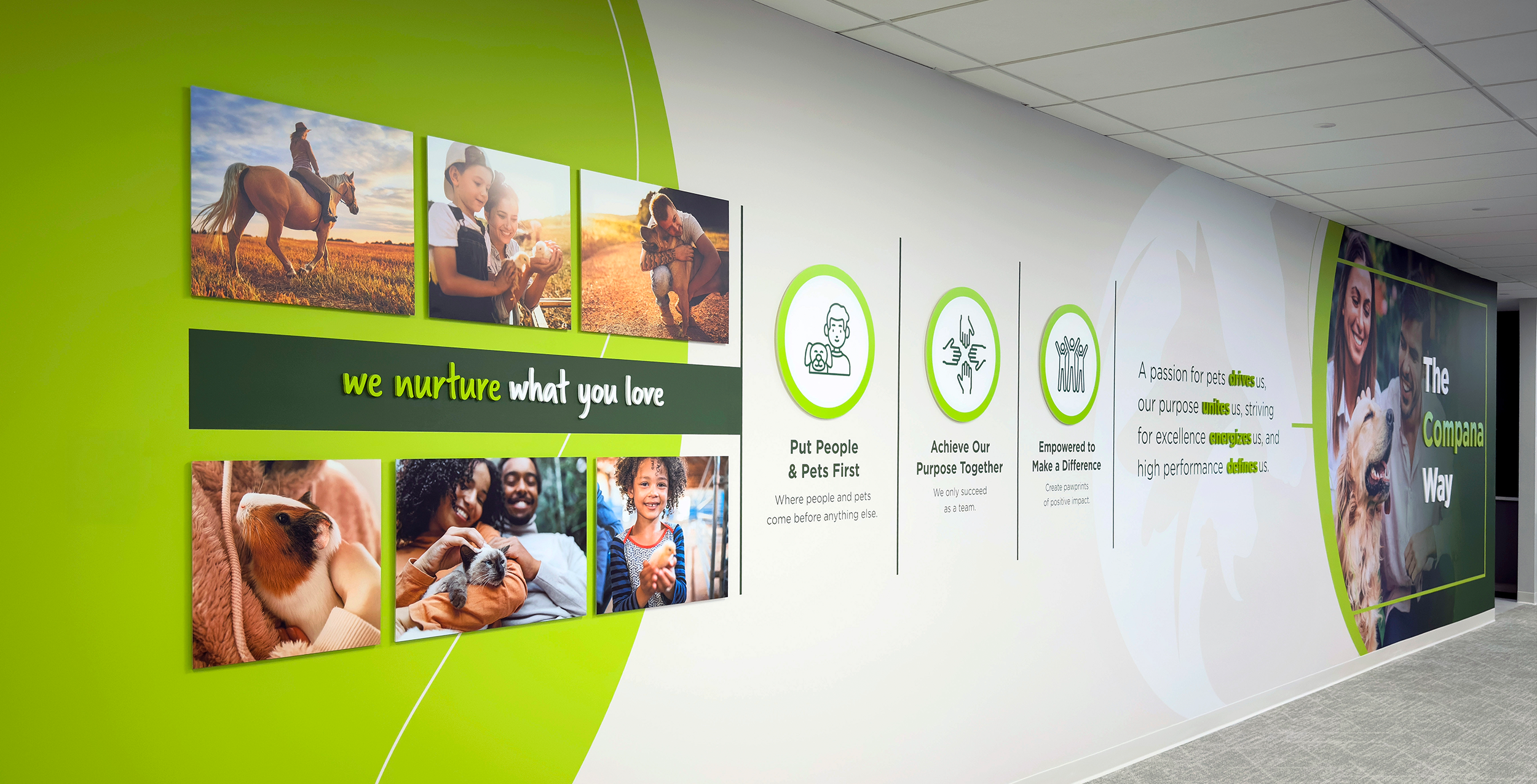 compana workplace architecture interior design signage graphics